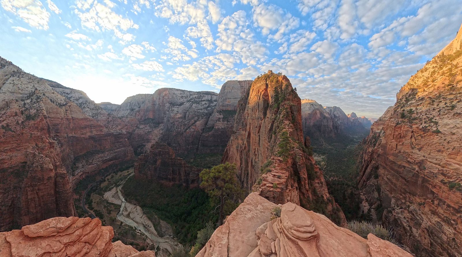 The narrow fin of Angels Landing rising above Zion Canyon