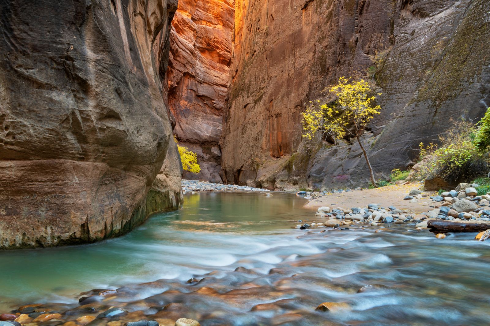 The Virgin River running shallow between towering walls in the Narrows