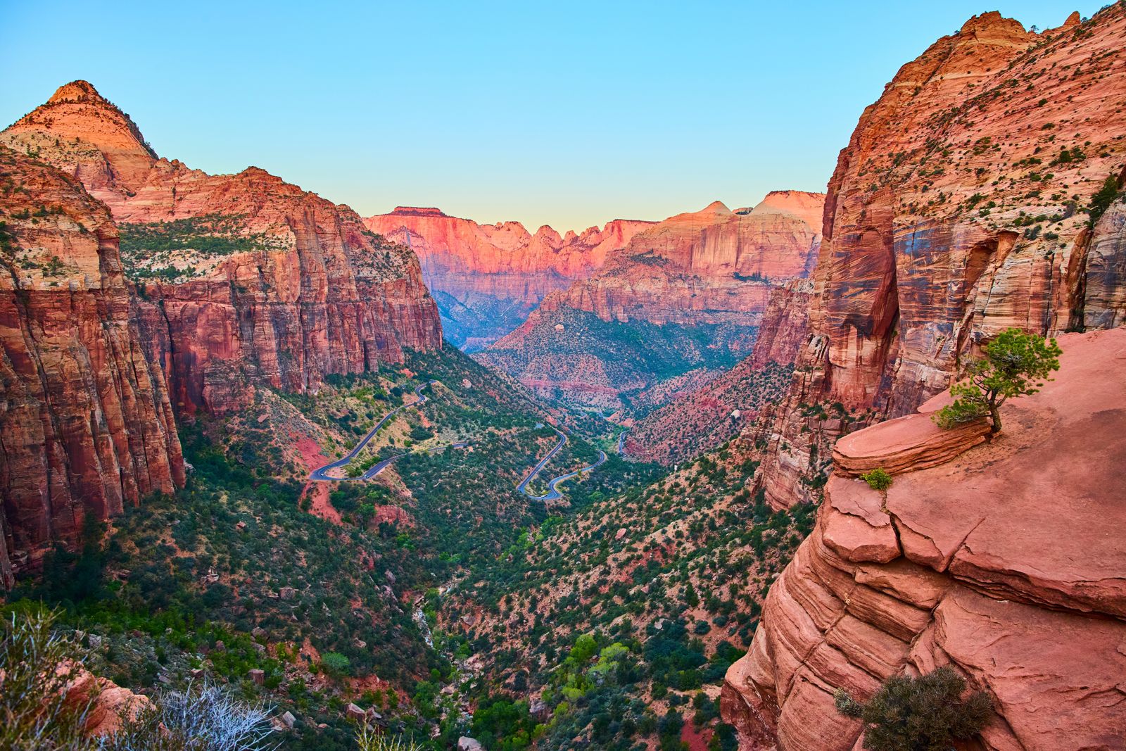 Zion Canyon's red and cream cliffs above a green valley at sunrise